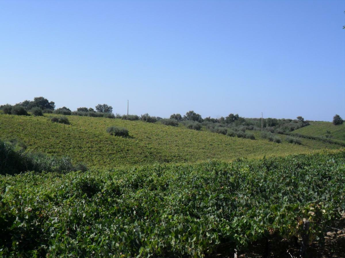 Villa Muchiarelli Crecchio 外观 照片