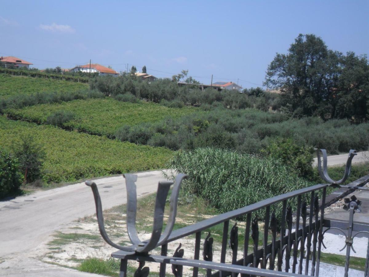 Villa Muchiarelli Crecchio 外观 照片